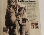 1991 Kitten Chow Cat Food Vintage Print Ad pa18 - $5.93