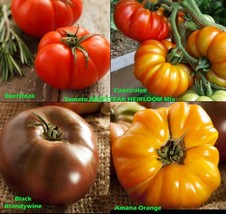 50 Seeds Of Tomato Mix Beefsteak Heirloom Tomatoes Colorful Indeterminate Nongmo - £9.74 GBP