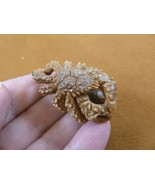 (tb-crab-2) tan Crabby King crab Tagua NUT figurine Bali detailed carvin... - £39.14 GBP