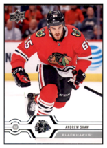 2019 Upper Deck Andrew
  Shaw    Chicago Blackhawks Hockey Card
  GMMGC - $2.04