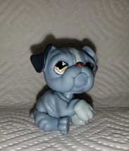 Littlest Pet Shop #668 English Bulldog Blue Gray Brown Clover Eyes - £7.98 GBP