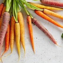 Rainbow Carrots Blend 200 Seeds Red Orange Purple White Yellow Baby Carrots Seed - £8.46 GBP