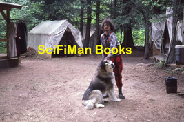 KODACHROME Slide Handsome Man Costumes Tents Large Husky Dog Fashion 1987 - $1.97