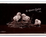 RPPC Baby Chicks In Nest Happy Easter Rotograph UNP Postcard H26 - £3.99 GBP