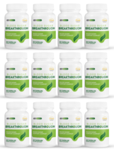 12 Pack Blood Sugar Breakthrough, blood sugar support-60 Capsules x12 - £251.04 GBP