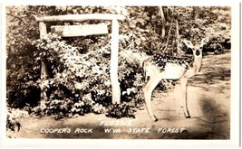 Postcard RPPC Cooper&#39;s Rock State Forest Deer W.Va. WV Monongalia County - $48.91