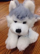 Rare. Retired!!! Webkinz Husky Used Code Husky Hm120 - $25.99