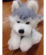 Rare. Retired!!! Webkinz Husky Used Code Husky Hm120 - $493.79 MXN