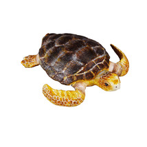 CollectA Loggerhead Turtle Figure (Medium) - £19.74 GBP