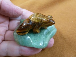 (Y-FRO-LP-719) brown FROG frogs green LILY PAD stone gemstone CARVING fi... - $17.53