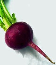 Beets, Early Wonder, Heirloom, Non GMO, 25+ Seeds, Tender N Sweet Beet, COUNTRY  - £2.39 GBP