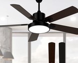 Obabala Ceiling Fan With Light, Indoor And Outdoor Ceiling, Patios / Far... - $142.98