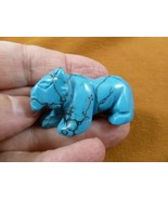 (Y-PANT-580) blue Howlite PANTHER stone LEOPARD big wild cat GEMSTONE ca... - $266.28 MXN