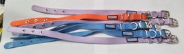 Hamilton PETSMART Nylon Dog Collar - £6.25 GBP+