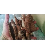 CATAPPA INDIAN ALMOND TREE BARK 100 gram- 1 kg TANNIN PH WATER NEUTRAL   - $19.50+