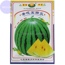 2 Packs Jin Huabao Yellow Watermelom Pack 70 Seeds Sweet 13% Sugar Contained Thi - $9.74