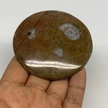 80.8g, 2.8&quot;x2.8&quot;x0.5&quot;, Goniatite (Button) Ammonite Polished Fossils, B30099 - £6.39 GBP