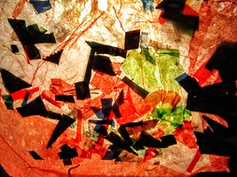 Item image 1 image 1