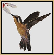 Humming Bird ~~ counted cross stitch pattern PDF - £15.68 GBP