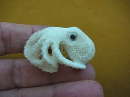 tb-octo-11) white Octopus TAGUA NUT palm figurine Bali carving ocean ree... - $42.06