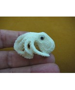tb-octo-11) white Octopus TAGUA NUT palm figurine Bali carving ocean ree... - £32.97 GBP