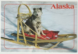 Husky Pup &amp; Mother Alaska Vintage Postcard Unposted - £3.83 GBP