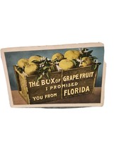 Florida Vintage Postcard Grapefruit - £4.12 GBP