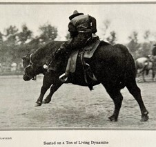 1921 Sharkey Rodeo Bucking Belgrade Bull Old West Cowboy Photo Print DWN8C - £25.94 GBP