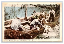 Fisherman Pursing Mackeral Trap Nova Scotia NS Canada UNP WB Postcard S5 - £3.66 GBP