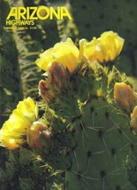 1982 MARCH  ARIZONA HIGHWAYS  JEWELS OF THE DESERT - $27.56