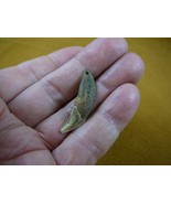 akt**th-37) 1-1/2&quot; Ancient Siberian dog canine t**th modern drilled for ... - $51.29 CAD