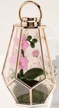 Bath &amp; Body W Orchid Terrarium Scent Control Nightlight Wallflowers Frag... - $39.99