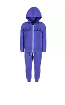 Toddler Girls Track Suit 2 Piece Set Ruffled Violet Size 2T IDEOLOGY $42 - NWT - £7.20 GBP