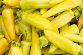30 Seeds Hungarian Yellow Wax Hot Pepper Vegetable Plant Garden - £10.90 GBP