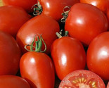 Amish Paste Tomato Seeds 20 Indeterminate Garden Vegetables Sauce Fast S... - $8.99