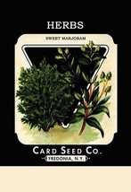 Herbs: Sweet Marjoram - £15.96 GBP