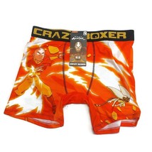 Nickelodeon Mens Size L AVATAR MOMO The Last Airbender Boxer Briefs Craz... - £9.66 GBP