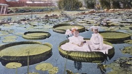Antique 1909 Postcard TWO CHILDREN SITTING ON GIANT LILY PAD Colored Photo  - $6.30