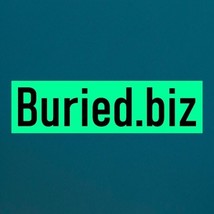 Buried .biz / Domain For Sale / Business, Website Name / Namecheap - $17.37