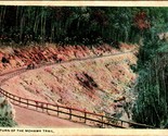 A Big Turn on the  Mohawk Trail Berkshire Hills MA UNP WB Postcard  - $3.91