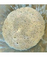 SOURDOUGH YEAST FRONTIER 100 YR old extra DEEP OLD TIMER FOOTHILLS sour (F) - $7.72