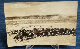 Vintage Postcard RPPC 40&#39;s Round up time in Arizona Cattle Cowboy Wester... - $14.50