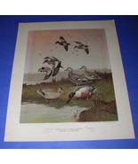 LYNN BOGUE HUNT PRINT 1944 FIELD &amp; STREAM (1) - $54.66 CAD