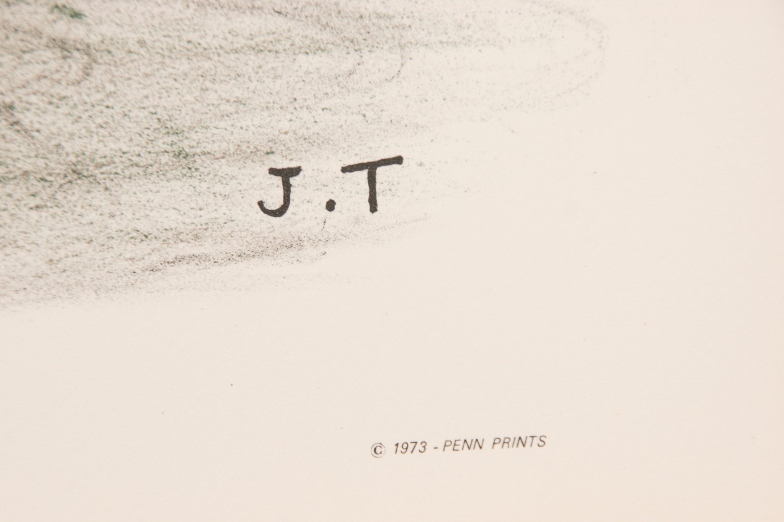 "Spangled Bittern" by Jerome Trolliet Lithograph on Paper Penn Prints 1973 26x20 Item image 3