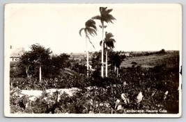 RPPC Landscape Havana Cuba Palm Trees Real Photo Postcard Y22 - £3.91 GBP