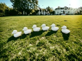 Six Teenie Tiny Vintage White Ceramic Ducks Miniature Figurines - £11.86 GBP