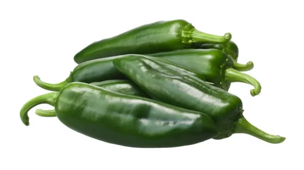 Anaheim Chili Pepper Seeds To Plant-100+ Seeds-Versatile Pepper For Eating A Usa - £15.67 GBP