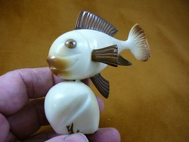 (TNE-FIS-KO-329-C) Koi Fish Goldfish Tagua Nut Figurine Carving Vegetable Ivory - £26.52 GBP
