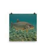 Lake Trout Poster Wall Art | Fishing Decor for Cabin, Lodge, Man Cave, 1... - $19.50