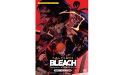 DVD Anime Bleach: Thousand-Year Blood War Part 1: (1-13 End) English, All Region - £21.13 GBP